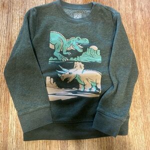 Dinosaur Graphic Kids Sweatshirt